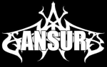 Ansur Logo