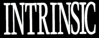 Intrinsic Logo