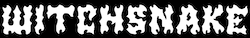 Witchsnake Logo