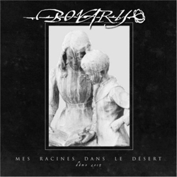 Mes racines dans le désert