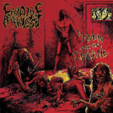 Haven for the Insane