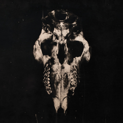 Antérieur à la lumière