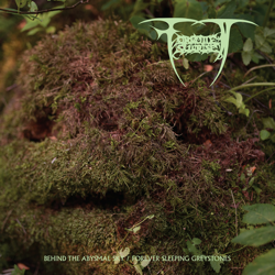 Behind the Abysmal Sky / Forever Sleeping Greystones