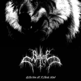 Reflection Of A Bleak Mind